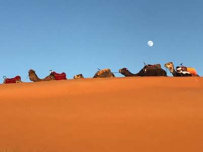 Excursion au départ de Ouarzazate : Le désert de Chgaga & Palmeraie de Draâ 