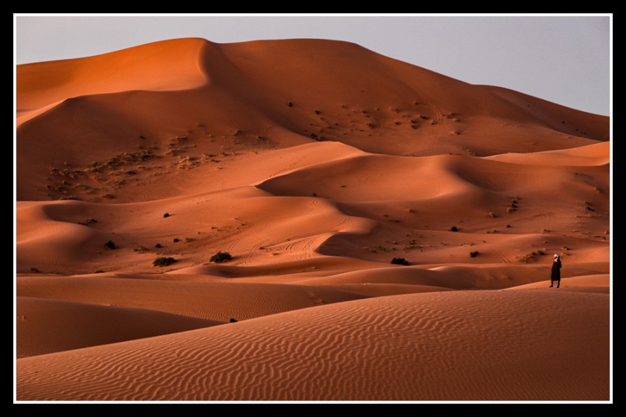 Randonnée saharienne avec les chameaux dans le désert marocain de Ouarzazate