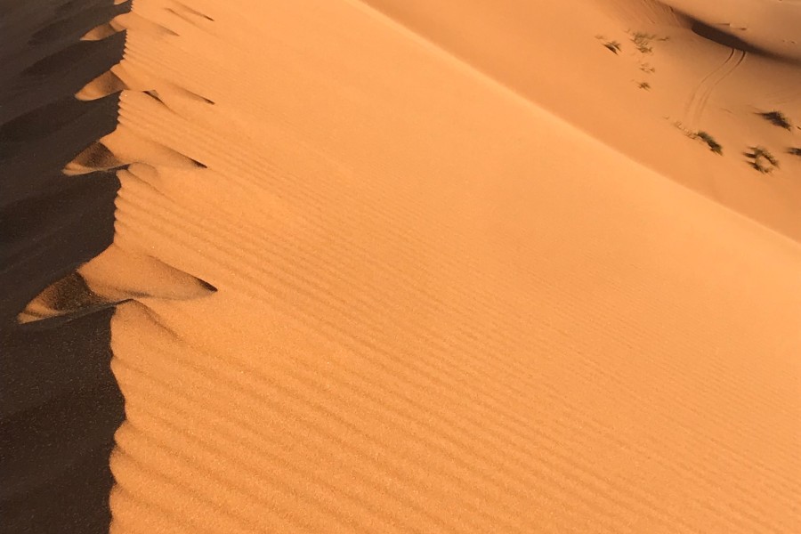 Randonnée dans le désert marocain : Les contreforts du djebel Bani et les dunes de l’erg Mhazile en 6 jours 